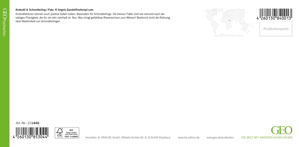 GEO-XXL-211-440-RS.jpg
