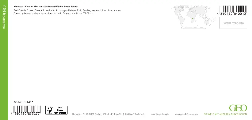 GEO-XXL-211-497-RS.webp