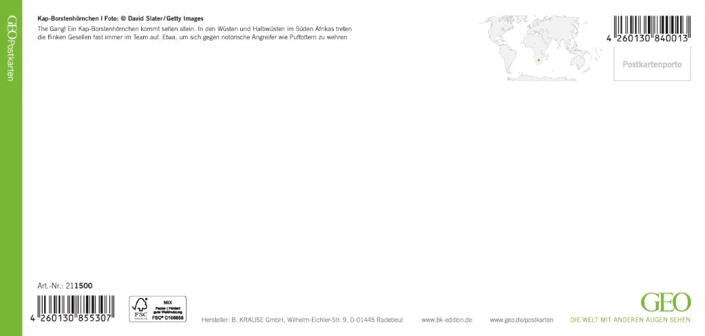 GEO-XXL-211-500-RS.webp