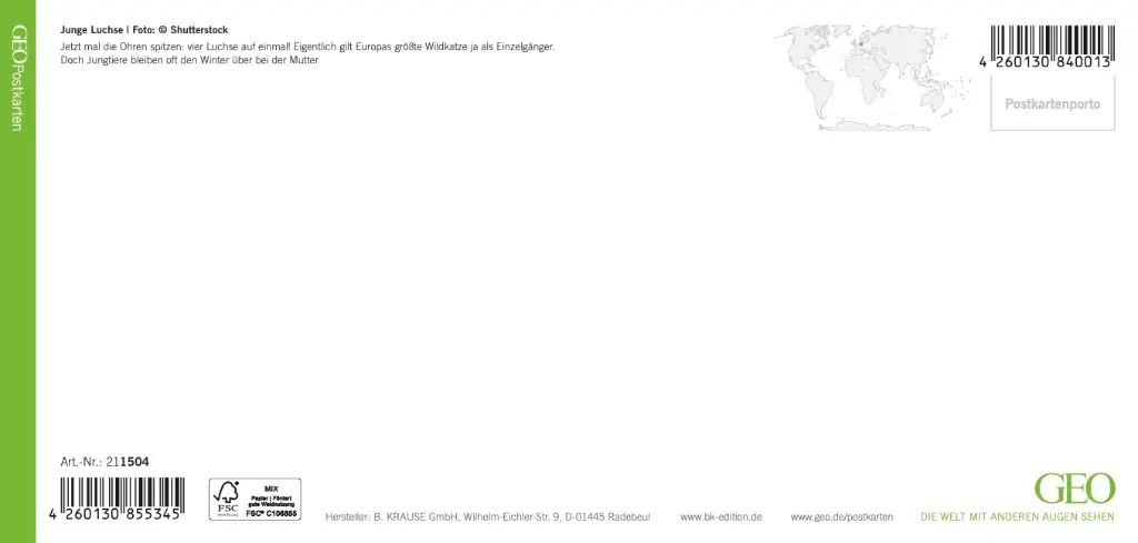 GEO-XXL-211-504-RS.webp