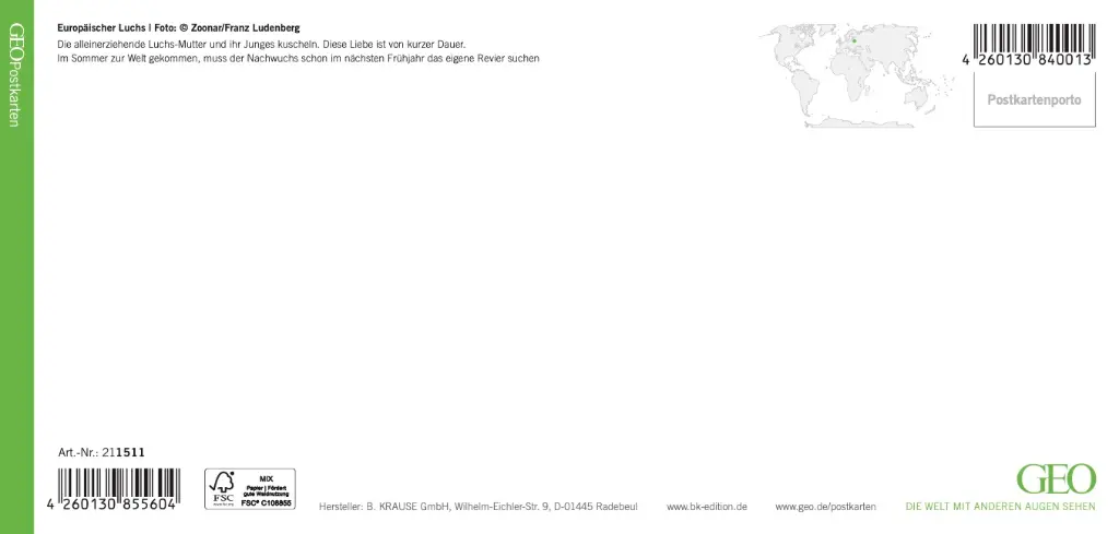 GEO-XXL-211-511-RS.webp