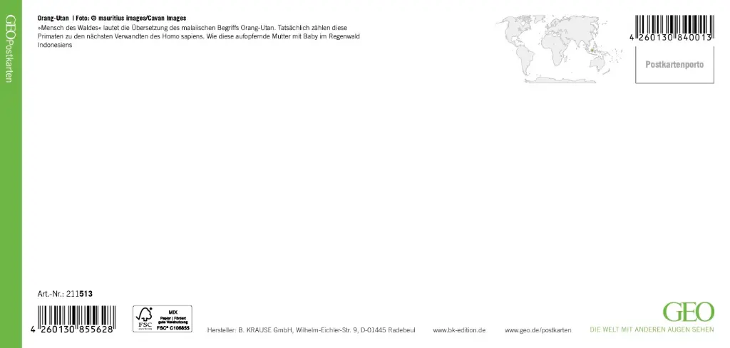 GEO-XXL-211-513-RS.webp