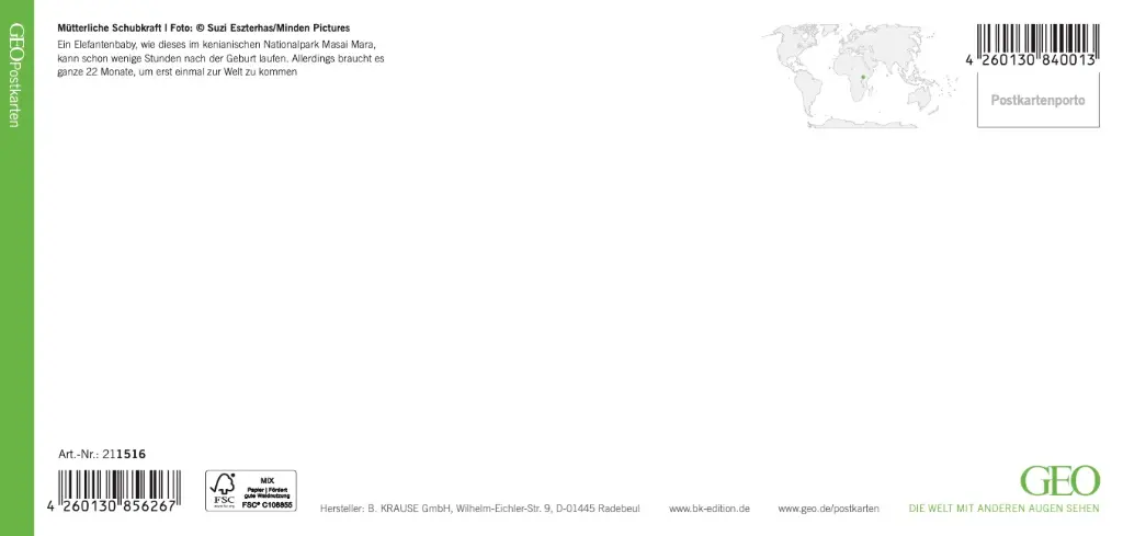 GEO-XXL-211-516-RS.webp