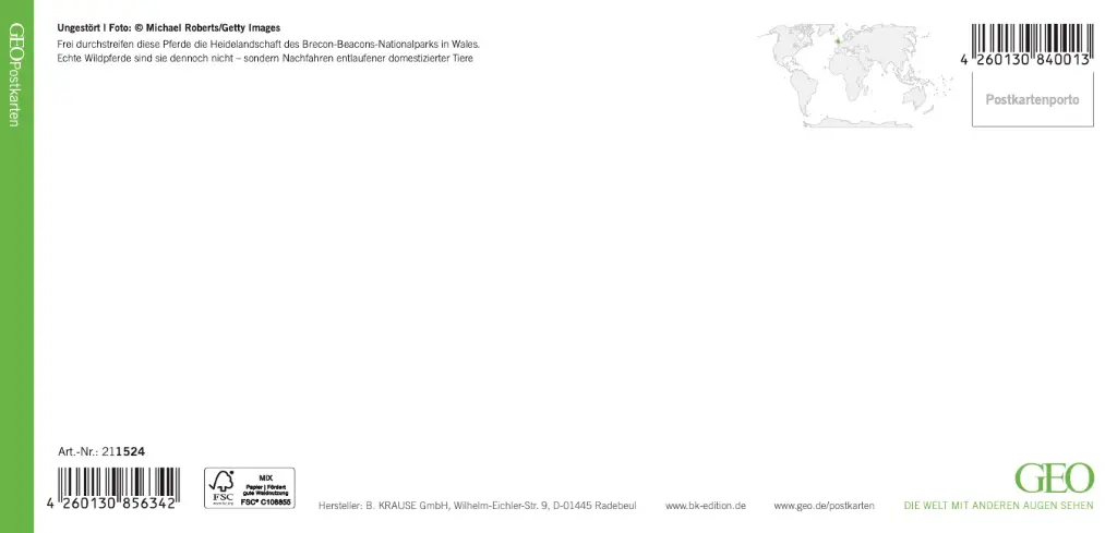 GEO-XXL-211-524-RS.webp