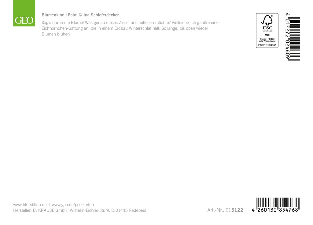 GEO-A6-215-122-RS.jpg