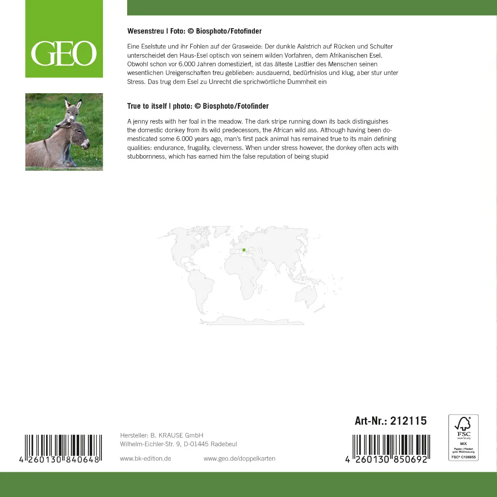 GEO-DK-212-115-RS.webp