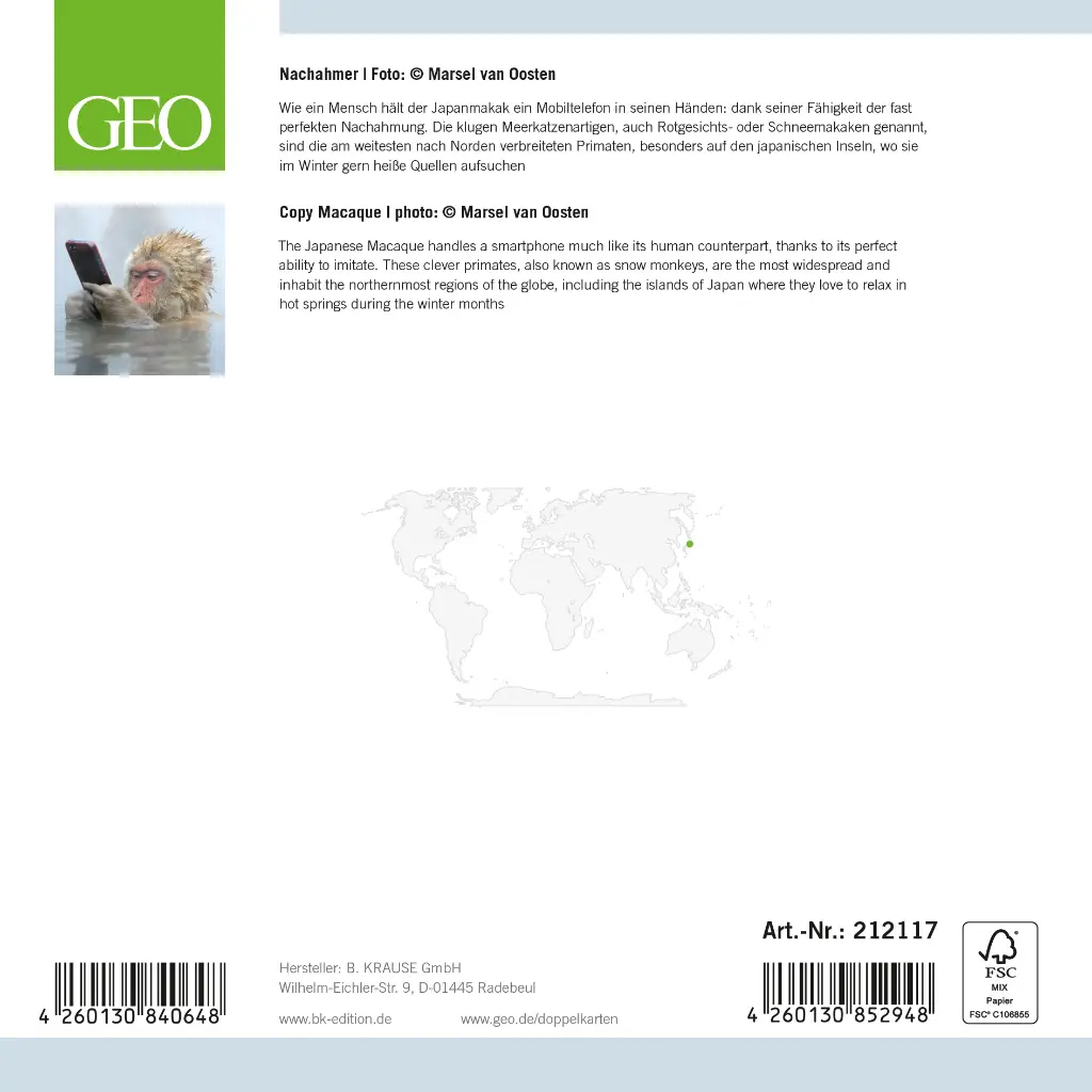 GEO-DK-212-117-RS.webp