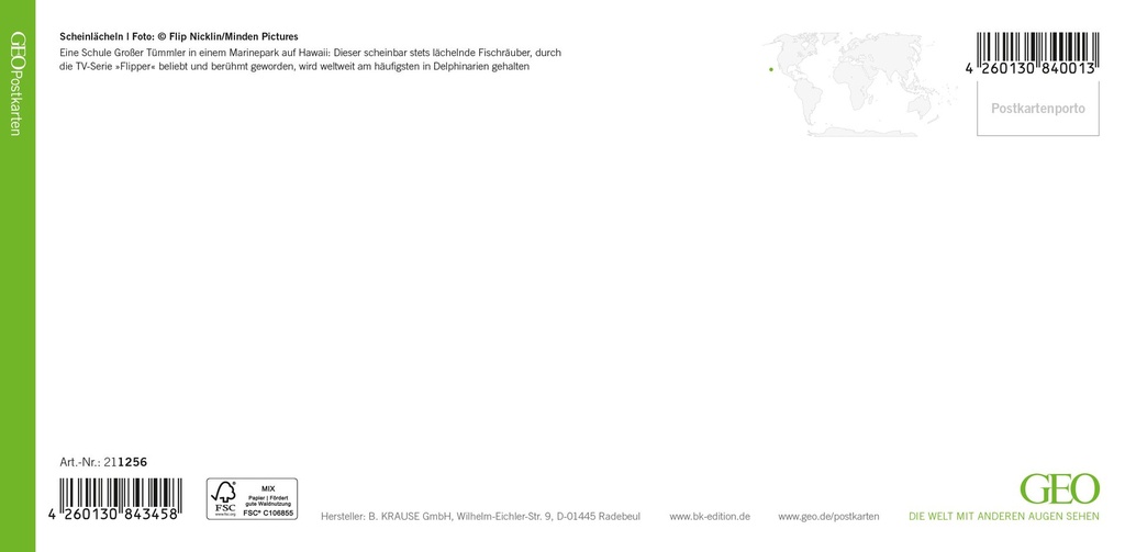GEO-XXL-211-256-RS.jpg