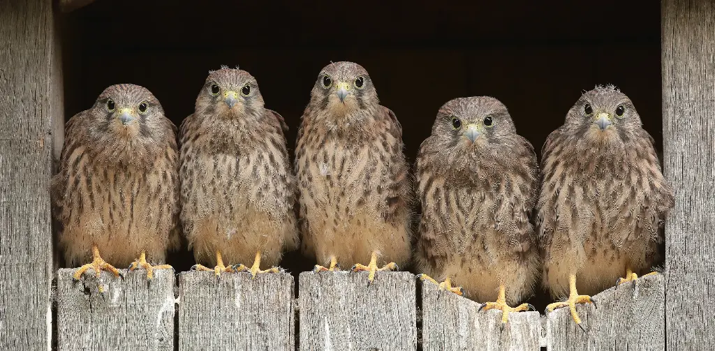 GEO-XXL-Postkarte »Startbereit«