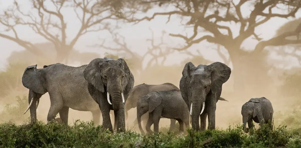 GEO-XXL-Postkarte »Unter sich«