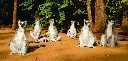 GEO-Postkarte »Katta-Gruppe«
