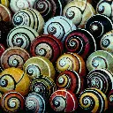 GEO-Doppelkarte »Schnecken«