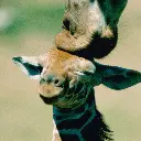 GEO-Doppelkarte »Zweisamkeit«