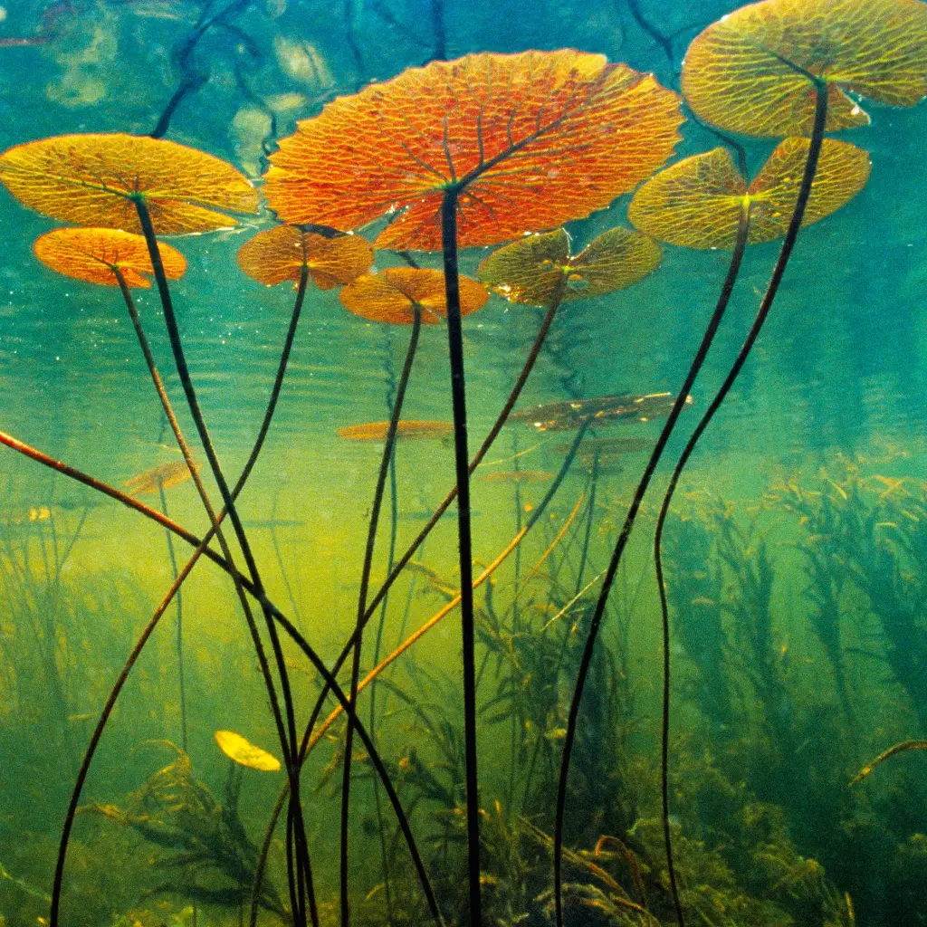 GEO-Doppelkarte »Widerständler«