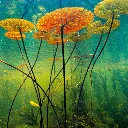 GEO-Doppelkarte »Widerständler«