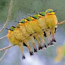 GEO-Doppelkarte »Querulant«