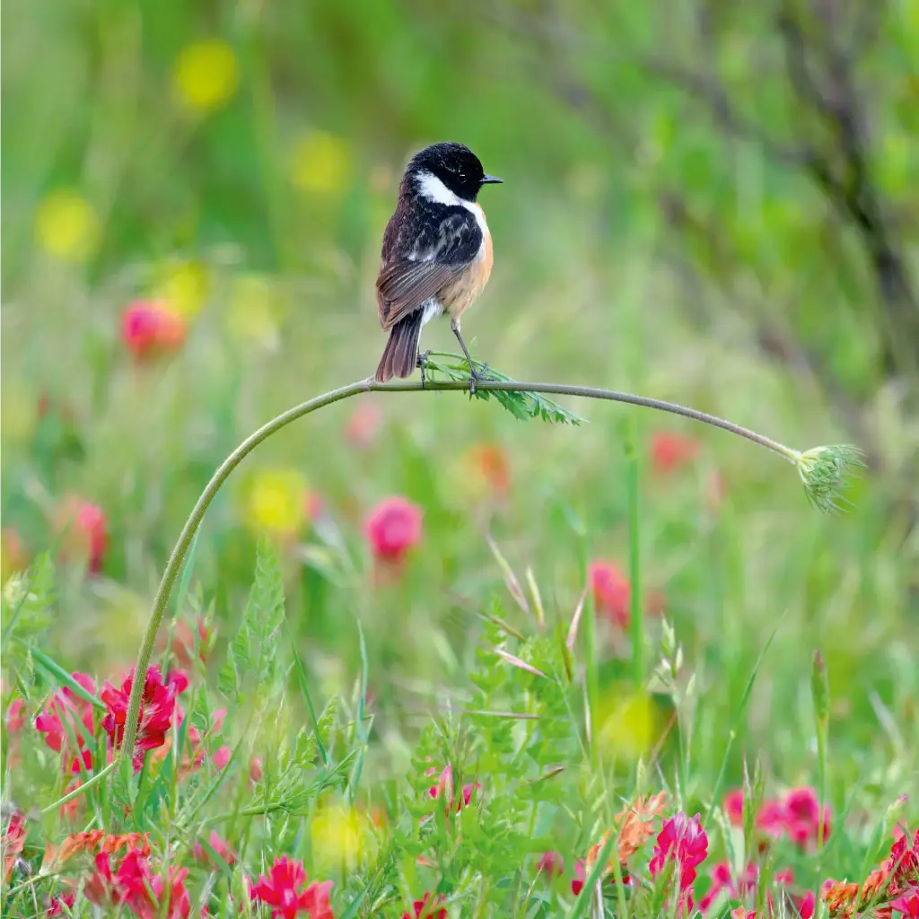 GEO-Doppelkarte »Perfekt ausgewogen«