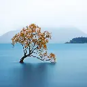 GEO-Doppelkarte »Wanaka-Bruchweide«