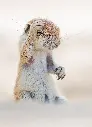 GEO-A6-Postkarte »Hörnchen«