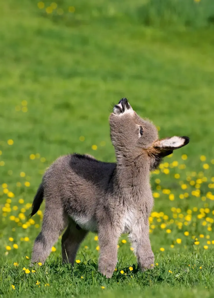 GEO-A6-Postkarte »Früh übt sich!«