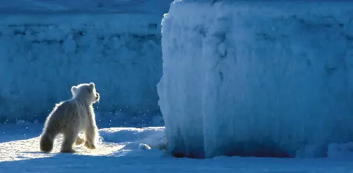 [GEO-XXL-211183] GEO-XXL-Postkarte »Lehrjahre«
