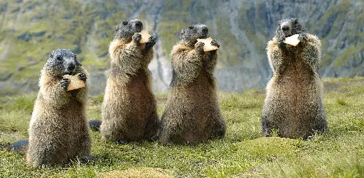 [GEO-XXL-211345] GEO-XXL-Postkarte »Relikte der Eiszeit«