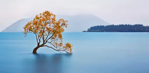 [GEO-XXL-211492] GEO-XXL-Postkarte »Wanaka-Bruchweide«