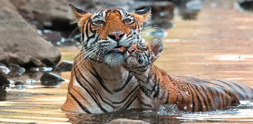 [GEO-XXL-211392] GEO-XXL-Postkarte »Abkühlung«