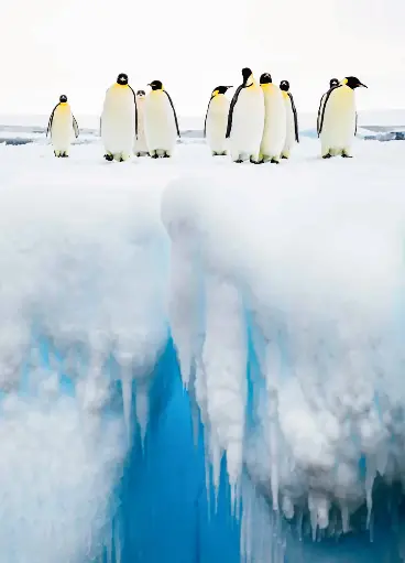 [GEO-A6-215118] GEO-A6-Postkarte »Festlich«